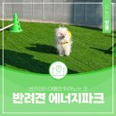 (주)시민에너지 | 반려견이 마음껏 뛰어노는 곳 대전 중구 반려견 에너지파크 방문 후기
