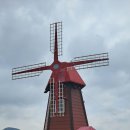 함안 [악양둑방 꽃길&amp;악양루] 이미지