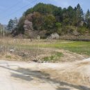 송죽펜션 이미지