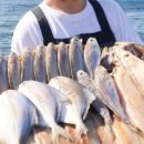 명진건어물 이미지