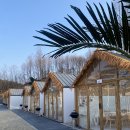 원주유통 | [원주] 원주 바베큐 맛집, 스타릿 비치 솔직 후기!!