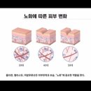 비아블 이미지