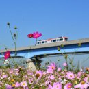 가을향기를 담은 향수 이미지