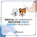 경희 효 태권도장 이미지