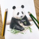 연필 & 색연필화 이미지