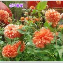 금강온천 이미지