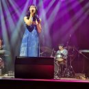 조선블루스 콘서트 이미지