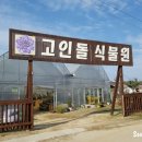 고인돌식물원 이미지