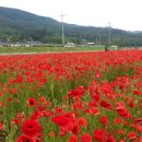 북천 간이화장실 이미지