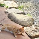 구례 쉼뜰 이미지