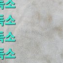 셀포랩스타 이미지