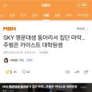 SKY 명문대생 동아리서 집단 마약…주범은 카이스트 대학원생 이미지