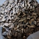 이레식품상사 이미지