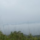 청솔주유소 이미지