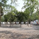 산여울캠핑장 이미지