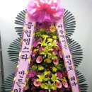 엠스타(Mstar) 이미지