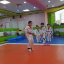 용인대선일태권도장 이미지