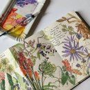 자성대노인복지관 이미지