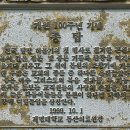 선교사스윗즈주택(宣敎師스윗즈住宅) 이미지
