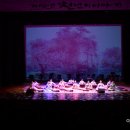 군립가야금연주단 정기공연 이미지