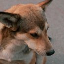 계양SKY동물메디컬센터 이미지