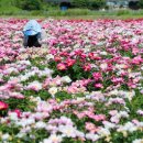 왕산축산