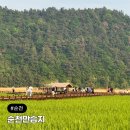 순천만 갈대숲 호스텔 | 순천만습지 용산전망대 안가도 충분한 힐링 코스 갈대밭 산책