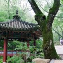 심우 이미지