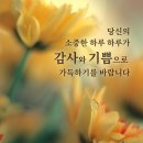 하루의 찬 이미지