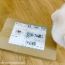 그로스코리아 | 샌디코리아) 여덟번째 구매후기📦