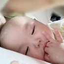 CU김해어방코스마점 | 6개월(1): 침독 고생중, 이유식 잘 먹고, 체력이 좋아 많이 돌아다니는 아기 일상