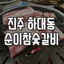 하대동337 | "순이참숯갈비" 진주 하대동 소고기, 돼지생갈비, 육회 맛집 추천[내돈내산]