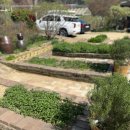 주연농장 | 아기랑 농장체험 :: 주연팜 봄나물 프로그램 방문후기