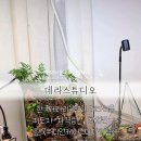 한국워디언케이스협회