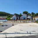 바다나루 이미지