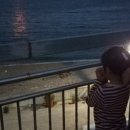 설이네바다펜션 이미지