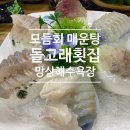 돌고래회집 | 신선 활어 모둠회 매운탕 추천 동해 망상해수욕장 돌고래횟집 솔직후기