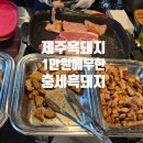 충세 흑돼지 정육식당 | (동쪽)함덕 근처 숨은 가성비 맛집, 제주 흑돼지 무한리필 충세 흑돼지 정육식당