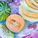 영암농협하나로마트 이미지