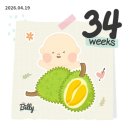 하얀빨래센터 | 임신 후기(32주~35주) 임산부 일상(출산휴가, 고은빛...아기 빨래 공장, 고은빛 문화센터, 마벨 산후...