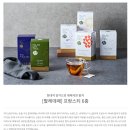 몸애좋은두부 | 임산부 필수 차(TEA) 루이보스티 5종 후기+추천 :) [몸애조화/다비앙/팔레데떼/타발론/TWG] feat.효능...
