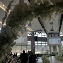 블루원 | 경주 웨딩홀 더 프라미스홀 블루원 방문 후기