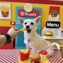 함개하자냥 이미지