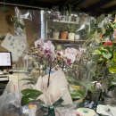 GR(예산군)-[추사로]-상-19 | [W.40] 화기애애했던 상견례 후기(일일향 여의도점, 시저타이, 아크레도, 꽃나래)