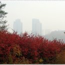 난지천공원 이미지