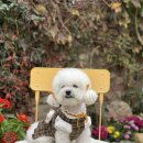 옷 만들기 이미지