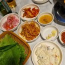 신영돌판구이 | [서울 강남] 신논현역 강창구찹쌀진순대 마포껍데기집 한돈 고기구이 맛집 (feat. 녹돈과 국내산김치)