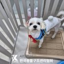 언신회관 이미지