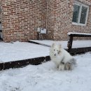 파크동물의료센터 이미지