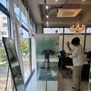 데스티니 퍼피 이미지